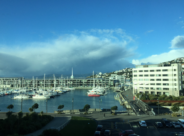Wellington thành phố của những cơn gió và làn sóng biển ào ạt 